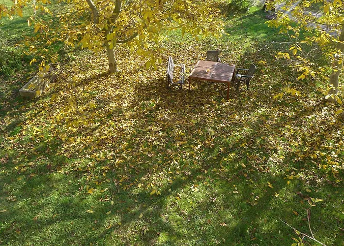 Nussanger Oberscheinfeld